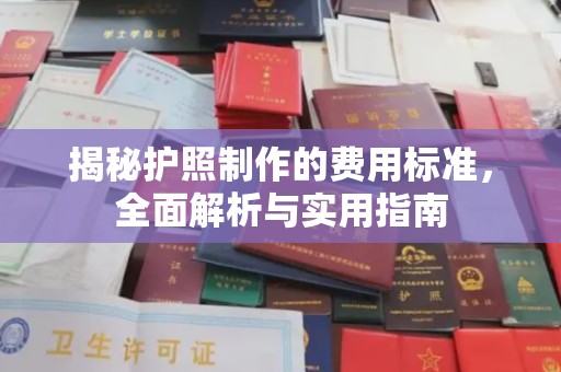 枣庄揭秘护照制作的费用标准，全面解析与实用指南