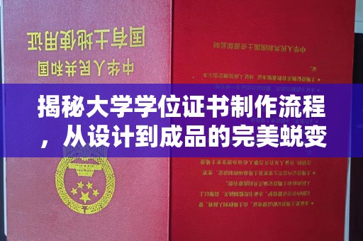 枣庄揭秘大学学位证书制作流程，从设计到成品的完美蜕变