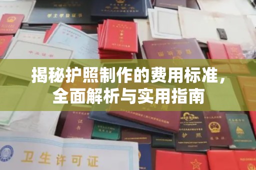 枣庄揭秘护照制作的费用标准，全面解析与实用指南